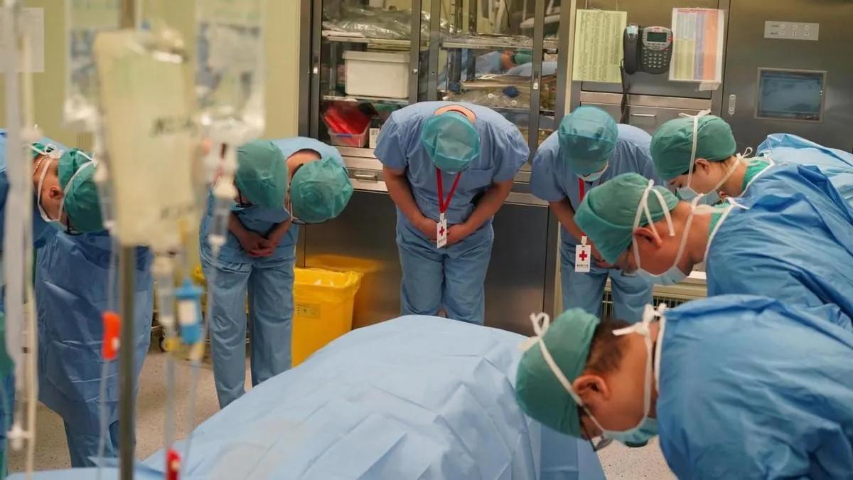 全球第一个换头成功的瘊子手术,首例换头的猴子