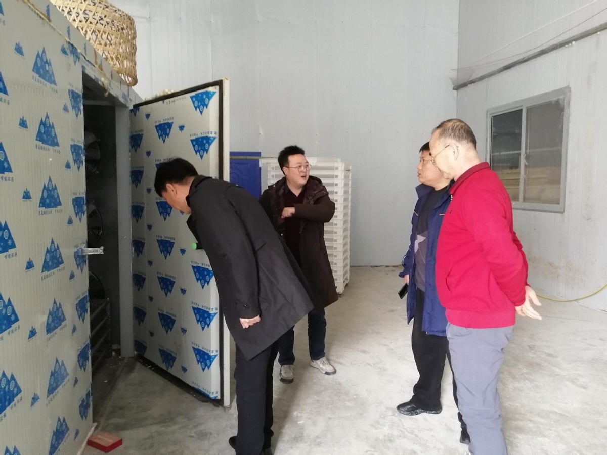 安康市老科协赴岚皋县圣世金铂桑园基地开展“科技之春”宣传活动