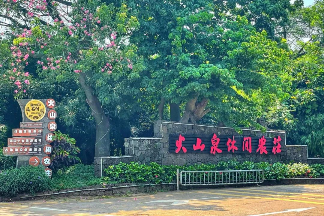 六一去哪里玩最好市区,六一温江遛娃好去处