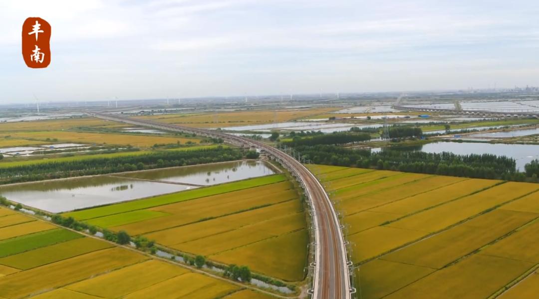 唐山丰南大运河,唐山市丰南运河