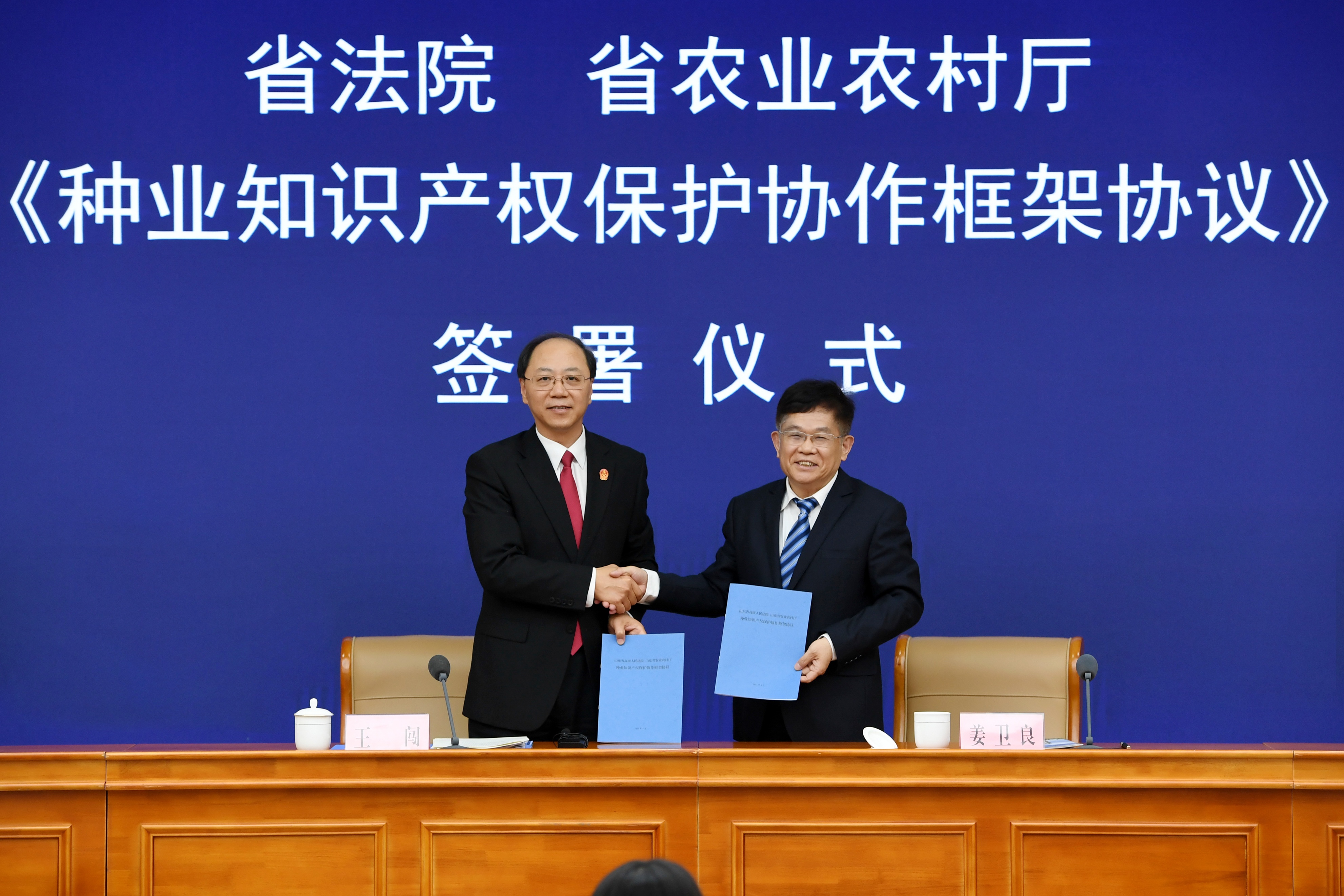 知识产权蓝天行动典型案例,全国知识产权审判工作会议