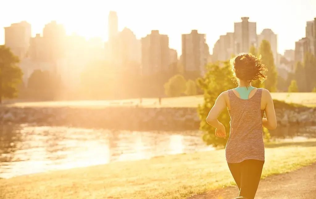 今天你本草纲目了吗什么梗,最近你打卡了本草纲目吗