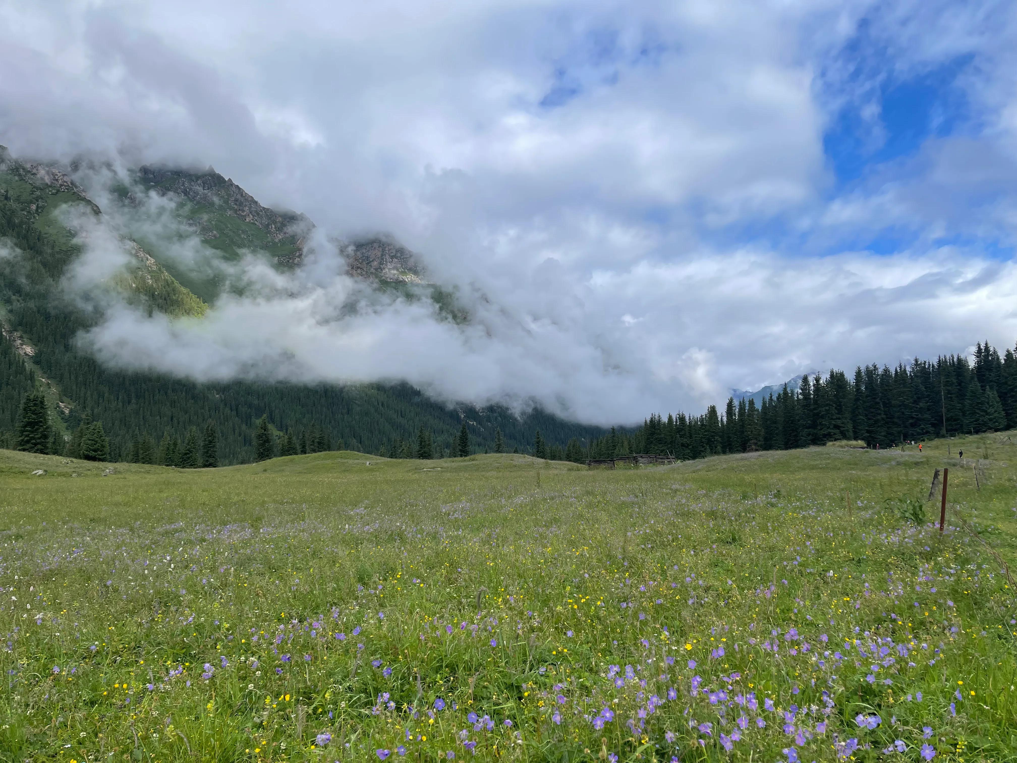 伊犁徒步穿越古道,伊犁昭苏县夏塔古道图片