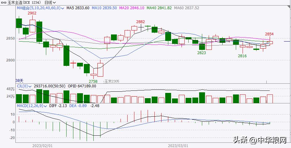中国连续大笔买入美玉米！但后期步伐可能放慢