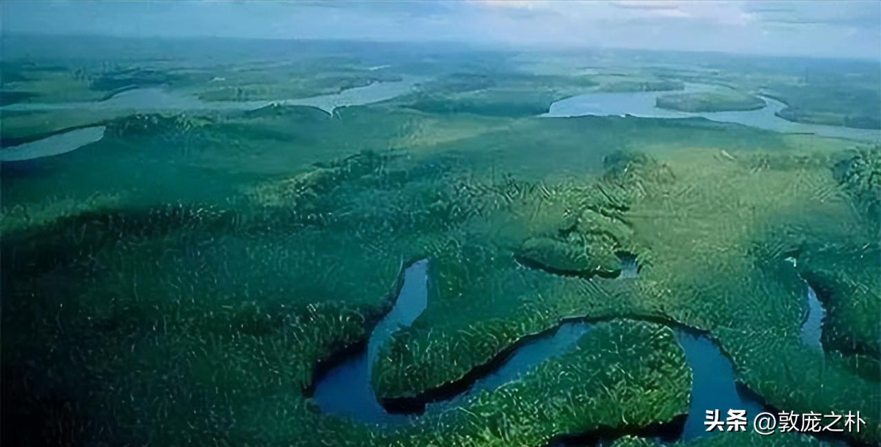 地球上十大可怕的病毒,地球上最厉害的十种病毒都是什么