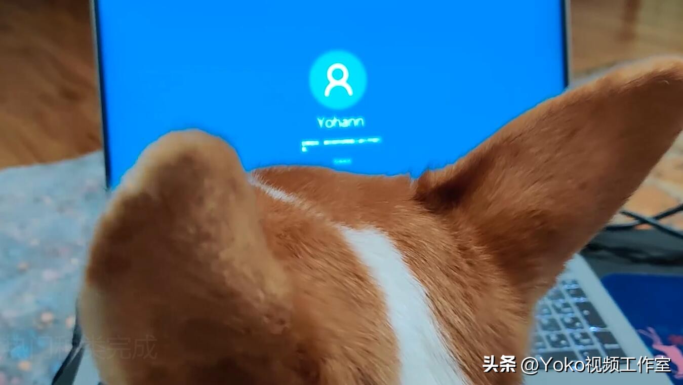 2023六大品牌笔记本电脑推荐,2023笔记本电脑推荐排行榜