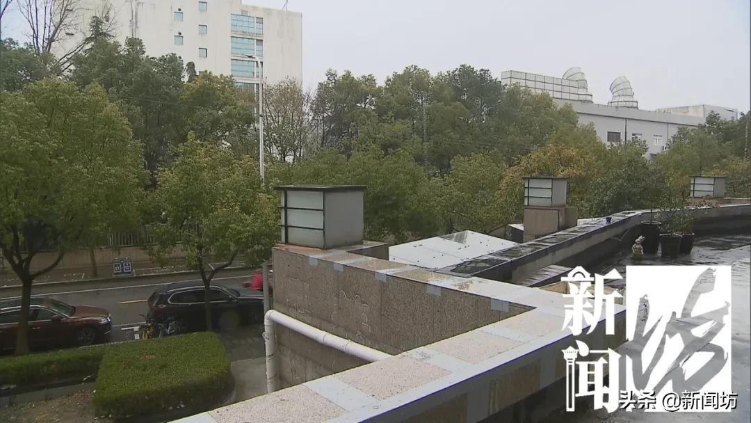 今天这个“谐音梗”…令沪上这对夫妻太有“2”了