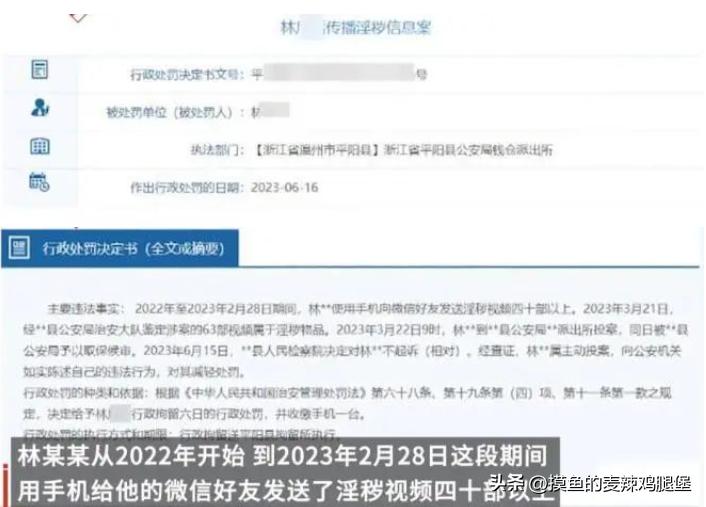 浙江发淫秽视频案件,温州男子发布淫秽视频案件