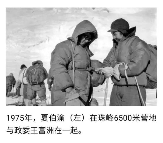 适合36岁观看的亲子电影,亲子电影推荐大片9.0以上评分短片