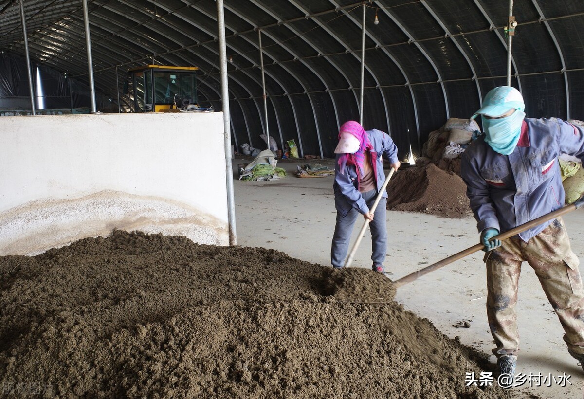 老农人纯羊粪发酵肥,老农教你简单一招