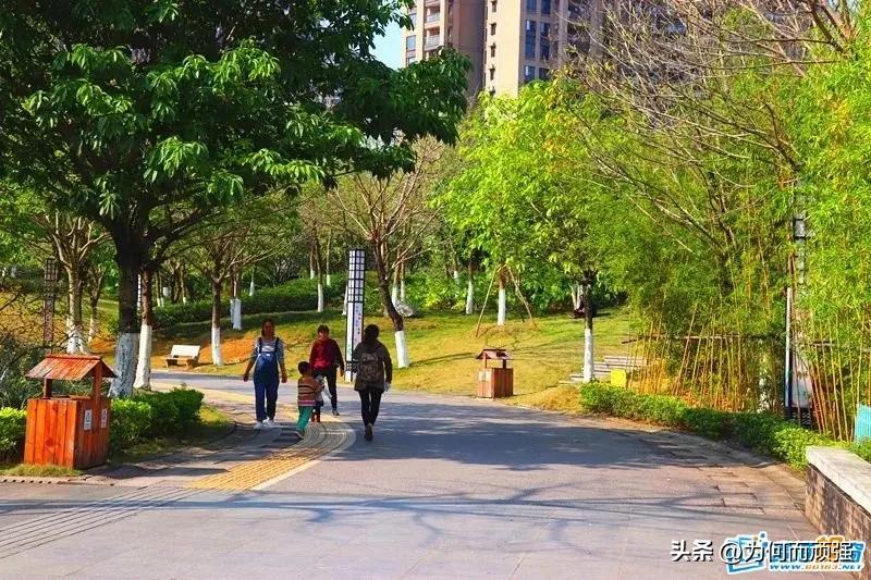 亲身经历:不愿上前线!此话隐含的“怨气”“戾气”来自哪里