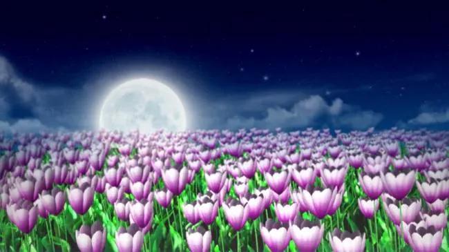 诗经秦风月出赏析,诗经陈风月出正确读音