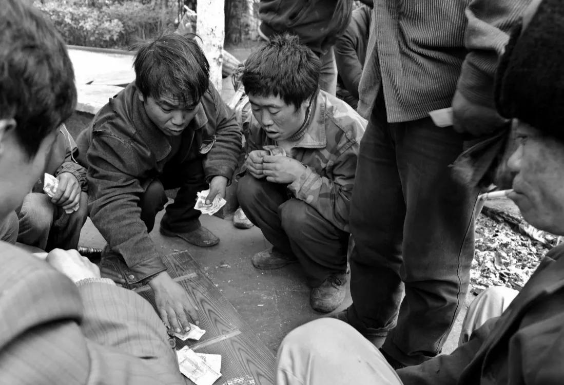 红杉树电视剧大结局,红杉林的全部小说