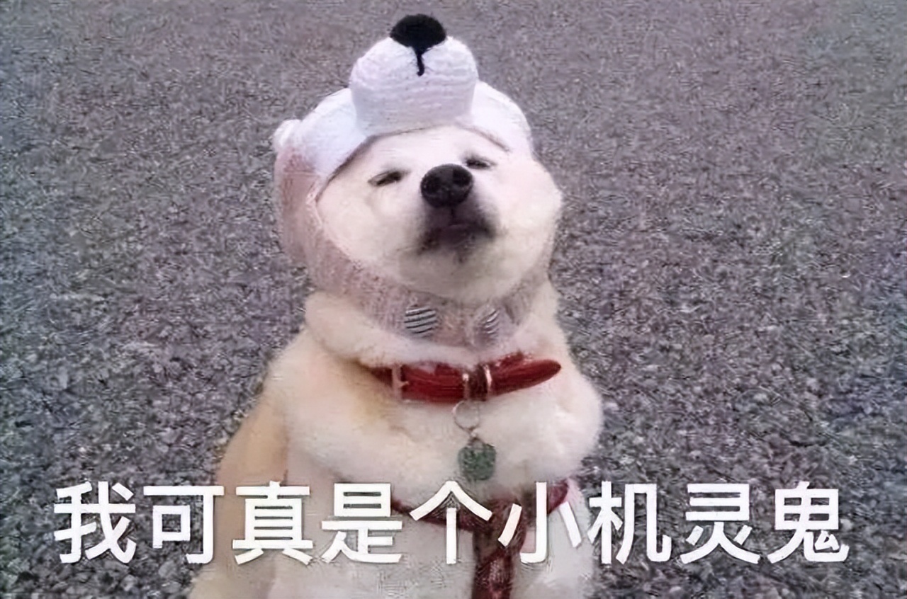 8不是8，ok不是ok，剪刀手是鄙视，法国人常用手势，你能get几个