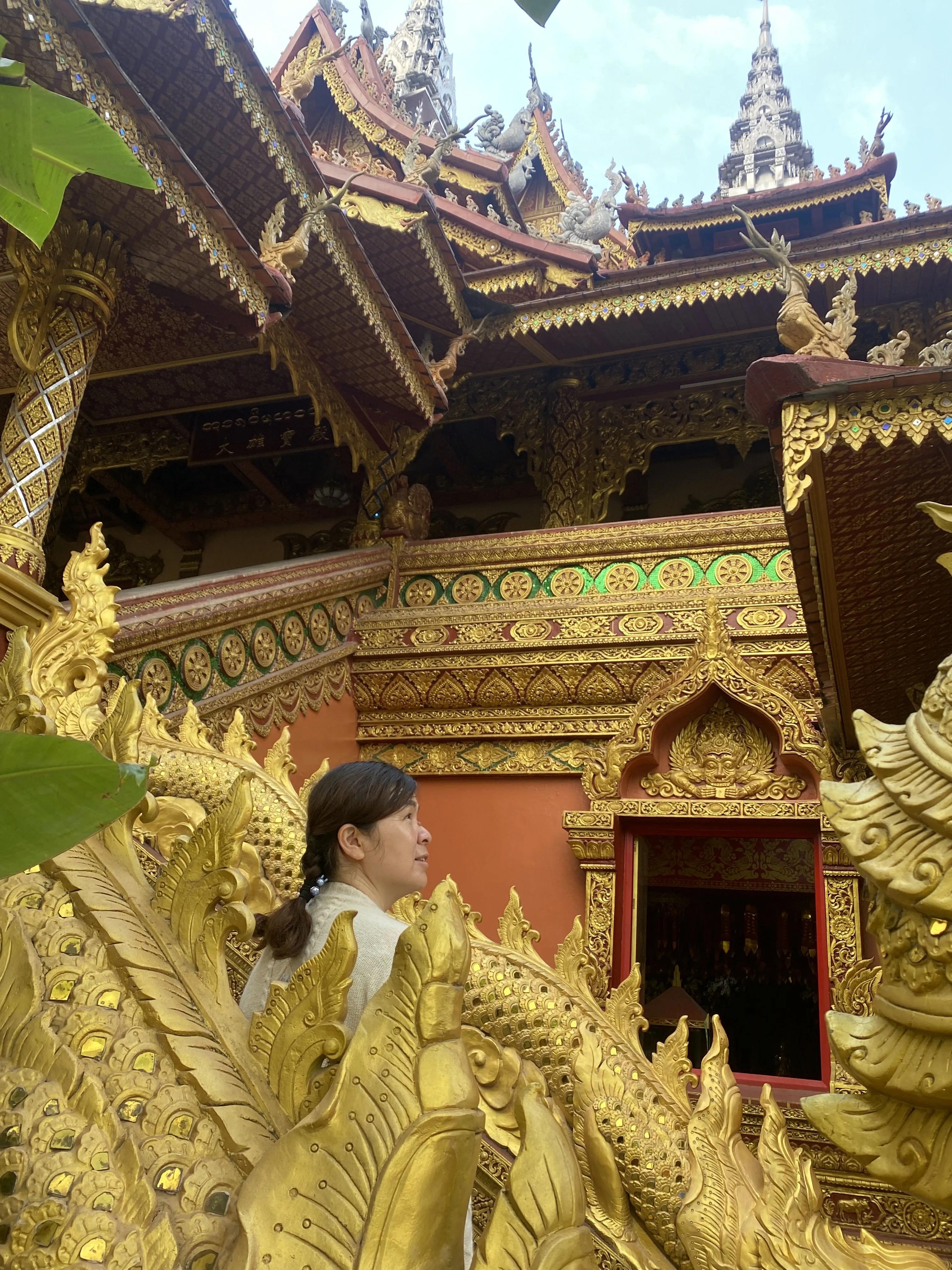 西双版纳10日行——走遍春夏秋冬，总会有人四季等你。