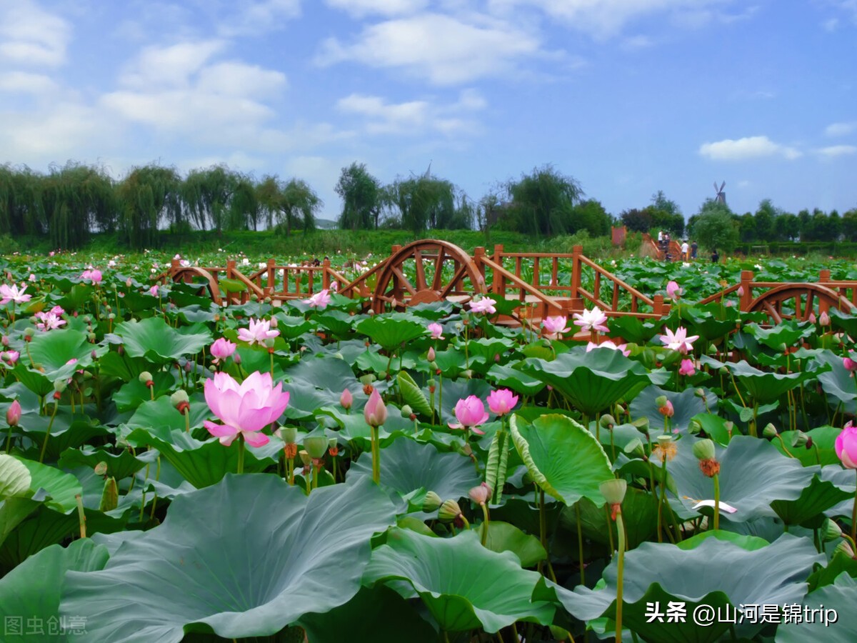 江苏5a旅游景点推荐大全,江苏5a景区适合秋天去的景点