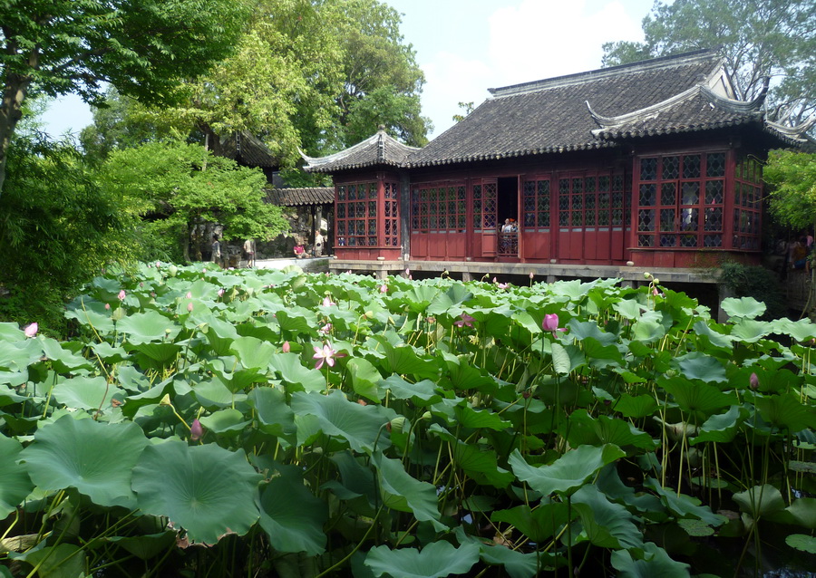 苏州春日好风光,游苏州赏美景携佳人寻古迹