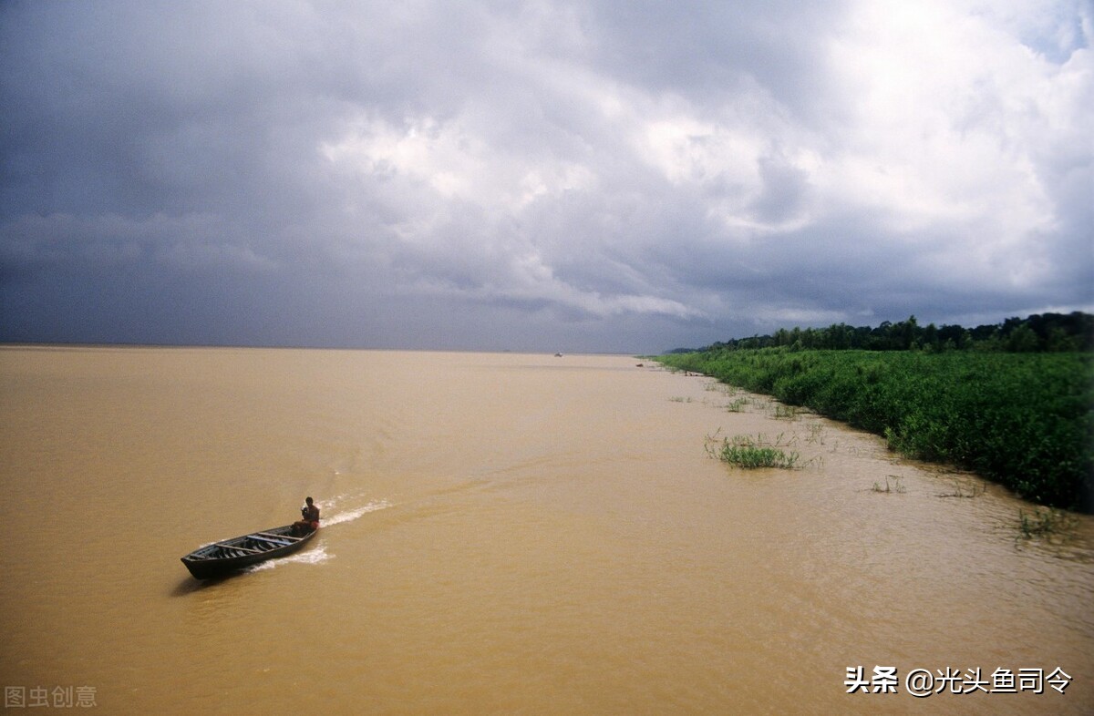 亚马逊河为什么被称为人类禁区,亚马逊河到底有多可怕