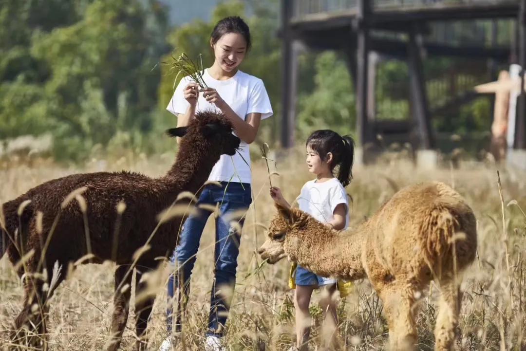安吉慢谷洋房最新信息,湖州安吉慢谷