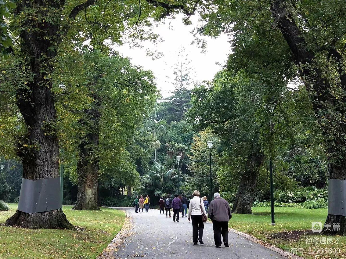 墨尔本旅游文化名城,游澳洲墨尔本