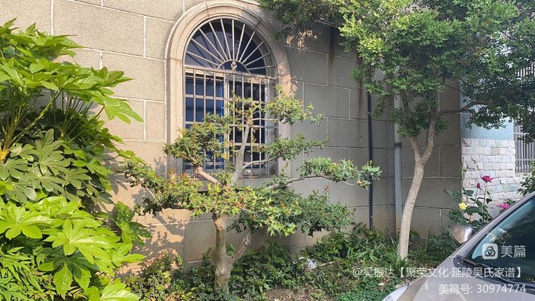 绿色是生命中的最美色彩