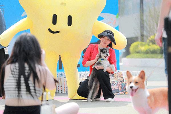 招商大魔方演艺中心,演出市场将迎来回补性增长