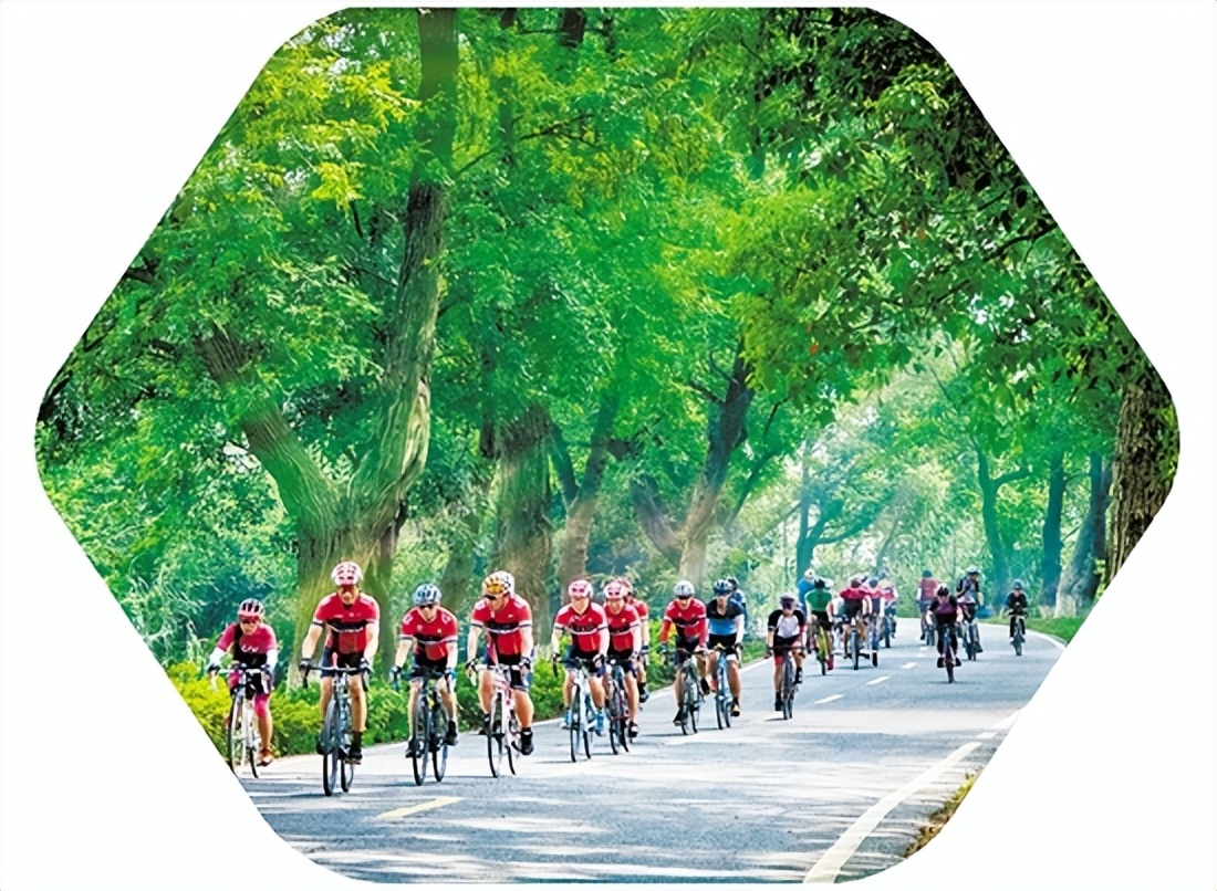 娴峰畞缁胯壊鍏矾,娴峰畞鍕囩珛娼ご