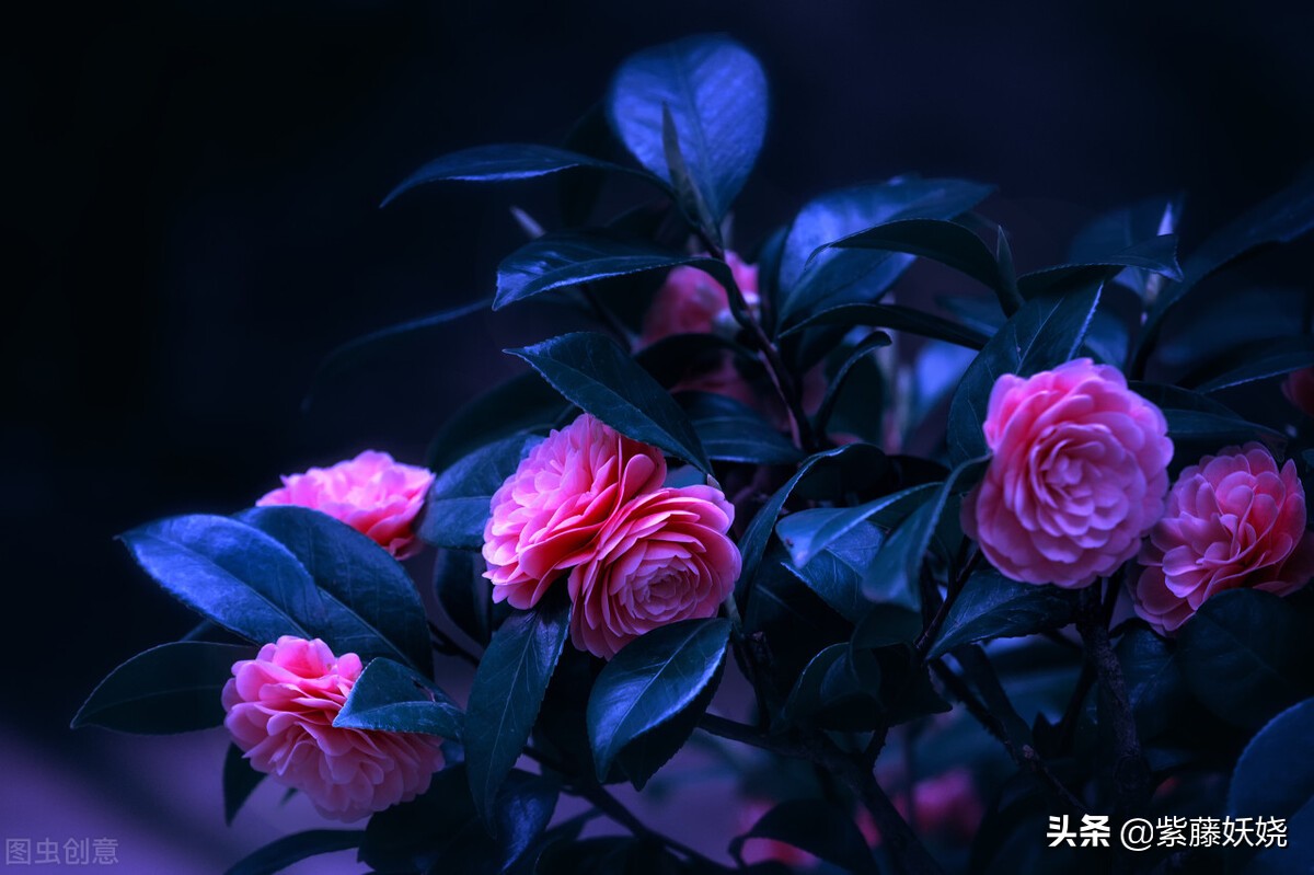 无痛人流后肚子坠痛,人流不打无痛有多痛