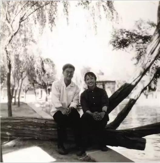 作曲家施光南简历,施光南死后遗孀现状