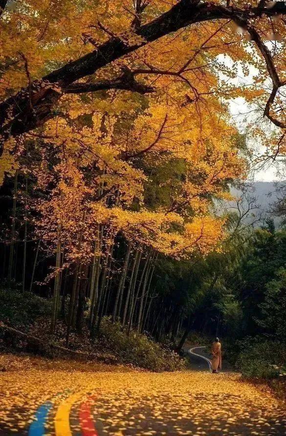 宜兴竹海拍照攻略,宜兴竹海氡泉温泉