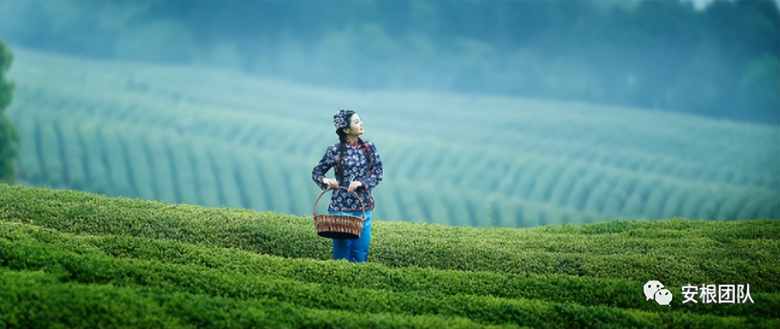 种植专业合作社有什么好处和坏处,农业合作社的危害