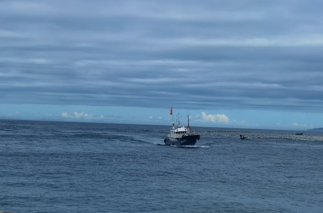 鍔犳补鍙韩鍏ぇ鍏嶈垂鏈嶅姟,鍘诲姞娌圭珯鍔犳补閮芥湁鍝簺鍏嶈垂鏈嶅姟