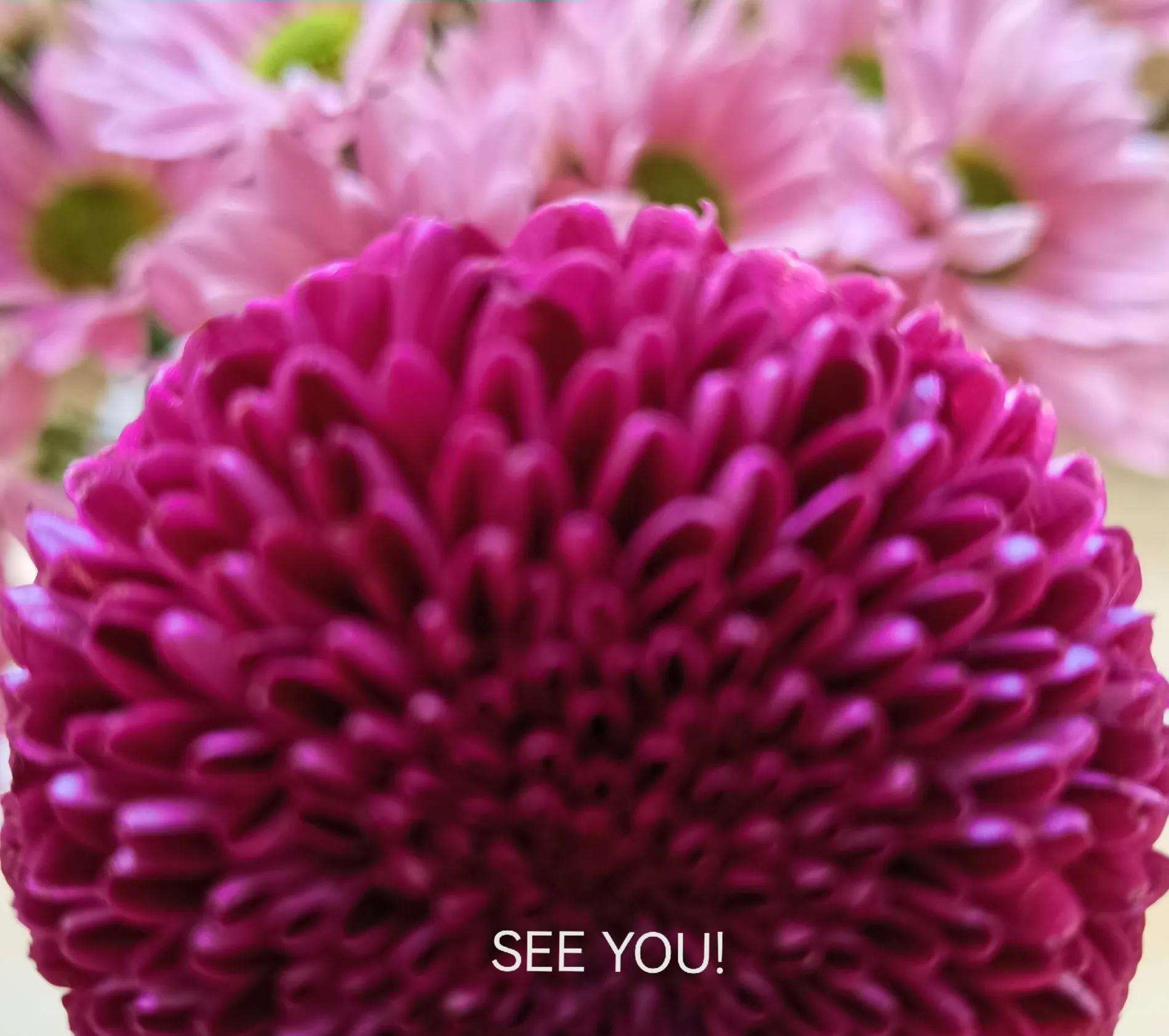 旅游英语口语大全带听力,超实用旅游英语口语80句