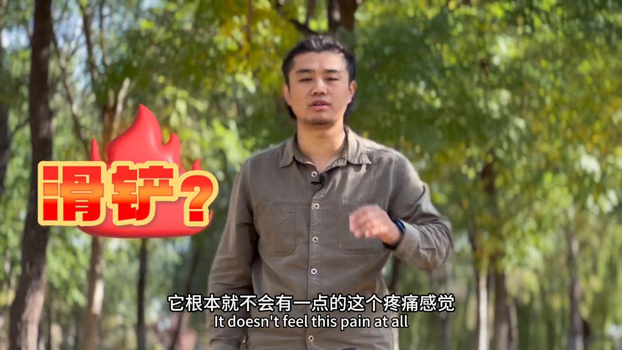 如果你遇到恶犬袭击怎么办,恶犬准备攻击你如何把它赶走