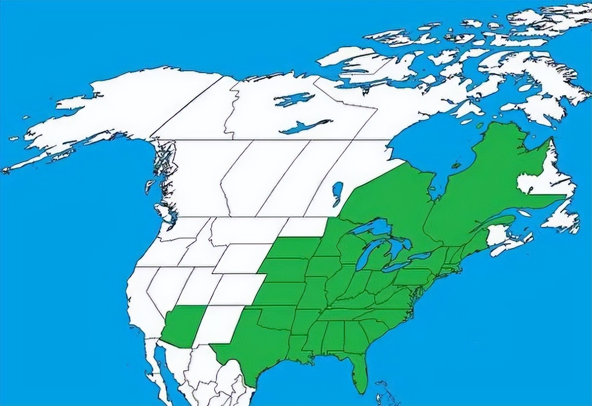 世界上能救命的十种毒草,10种最毒的毒草