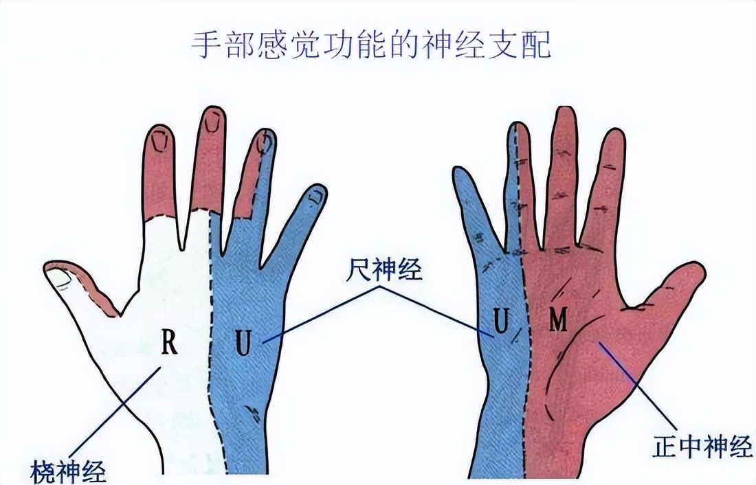 手部麻木怎么办,手部麻木吃什么药好