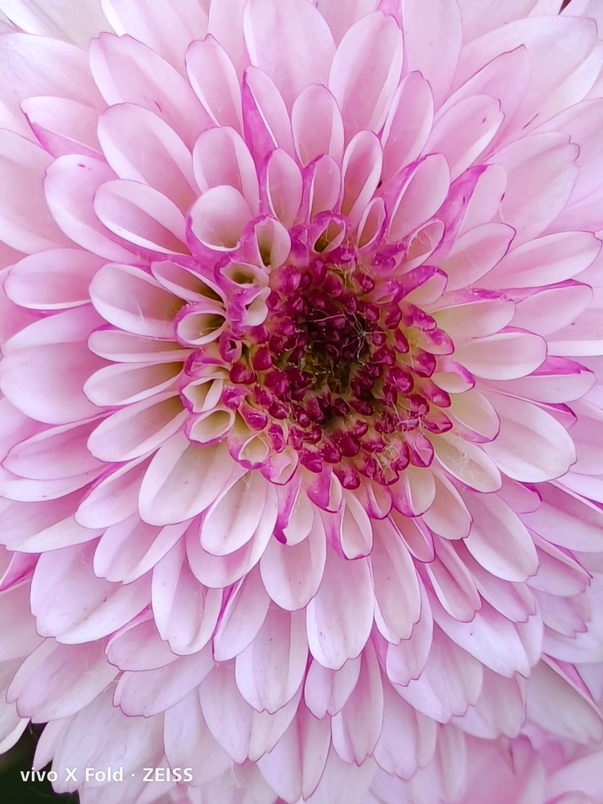 vivoXFold深度评测：8999元航天级铰链，趋于完美的折叠屏手机