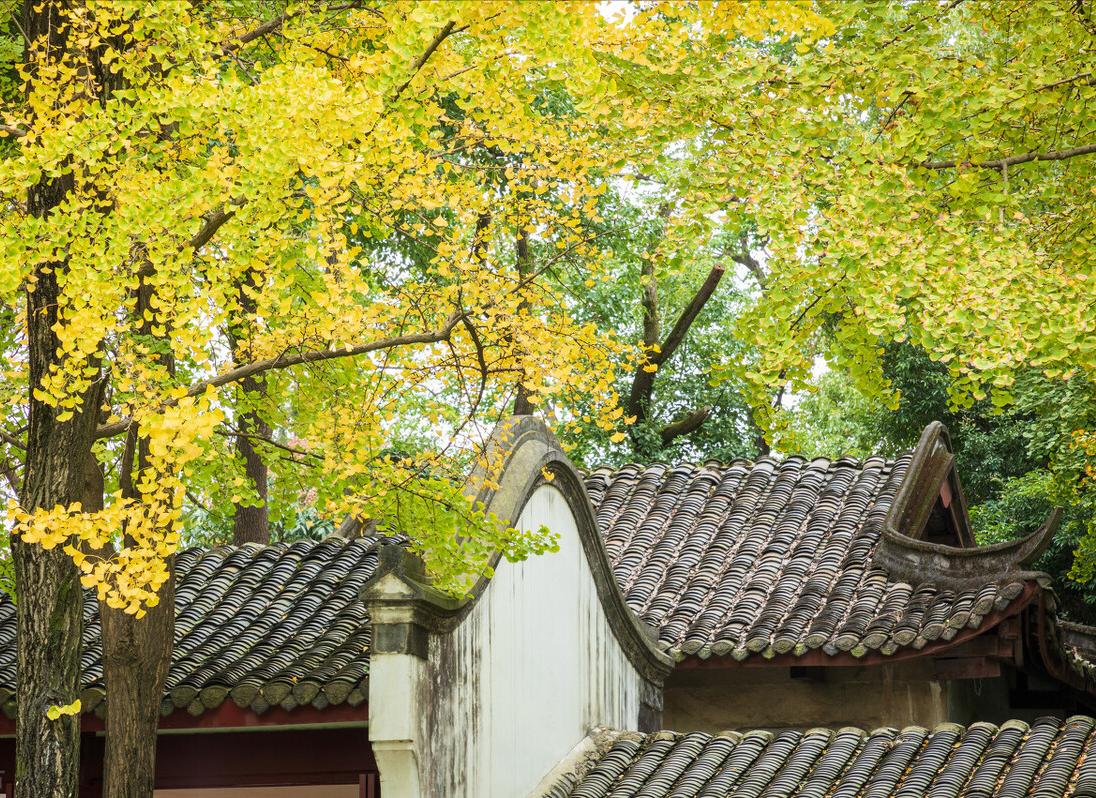 刻意伤春,刻意伤春是啥意思