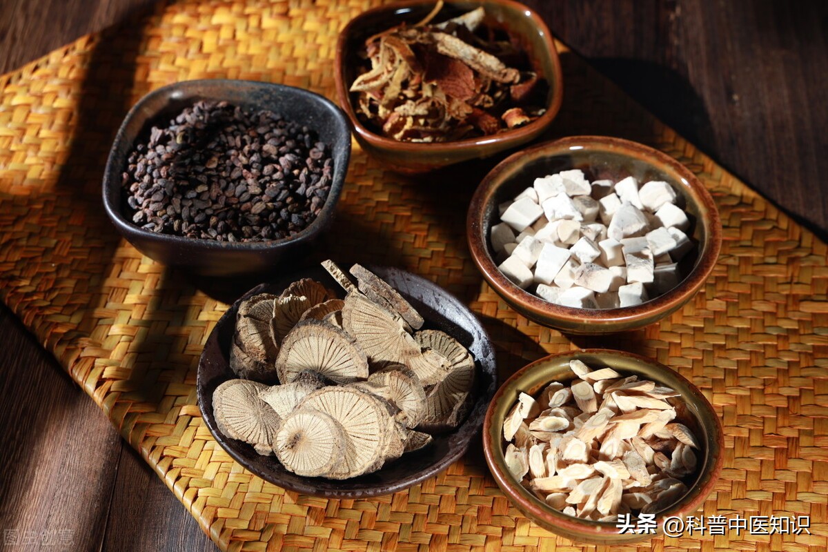 小孩反复发烧：中医温阳益脾，导滞泻实治愈