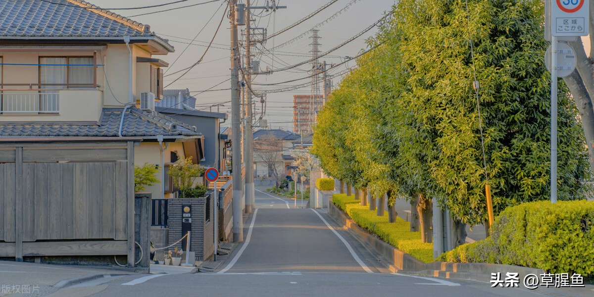 去日本旅游哪些食物好卖,去日本旅游要吃的美食是什么