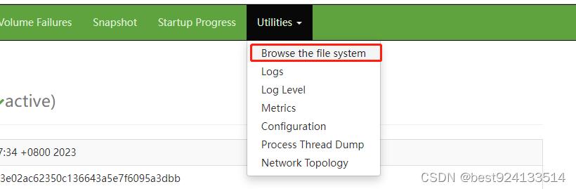 hadoop伪分布式搭建,hadoop伪分布什么意思