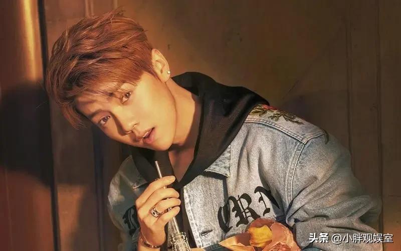 鹿晗家世有多牛,鹿晗多有钱