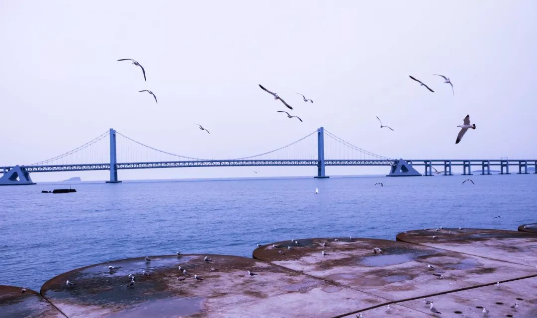 大连之旅的美景,大连海岛旅行感受