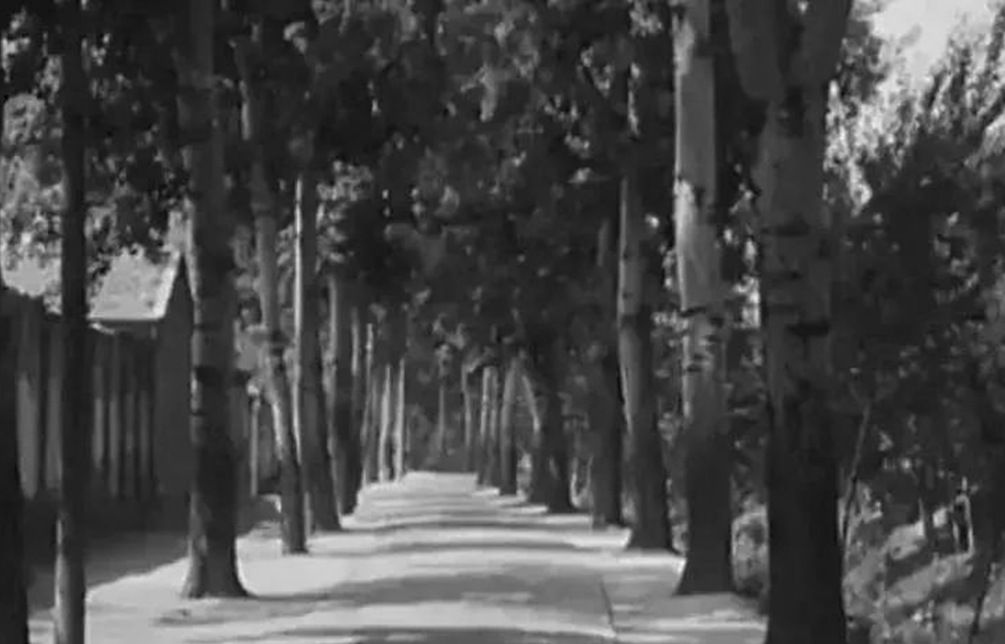 保定五中9：响应号召八中门前游泳，考入深池就靠蛙泳一姿