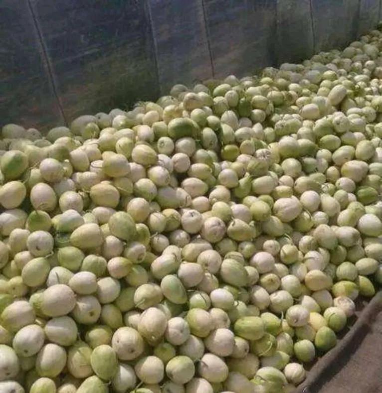 我亲身经历的社会事件作文,社会经历和感悟