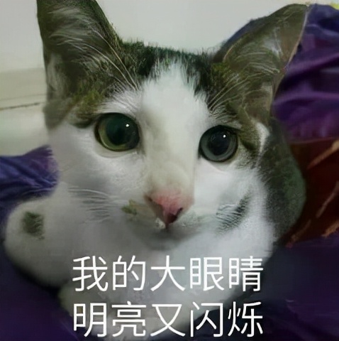 冬天运动减肥更有效吗,夏天减肥运动快速燃脂