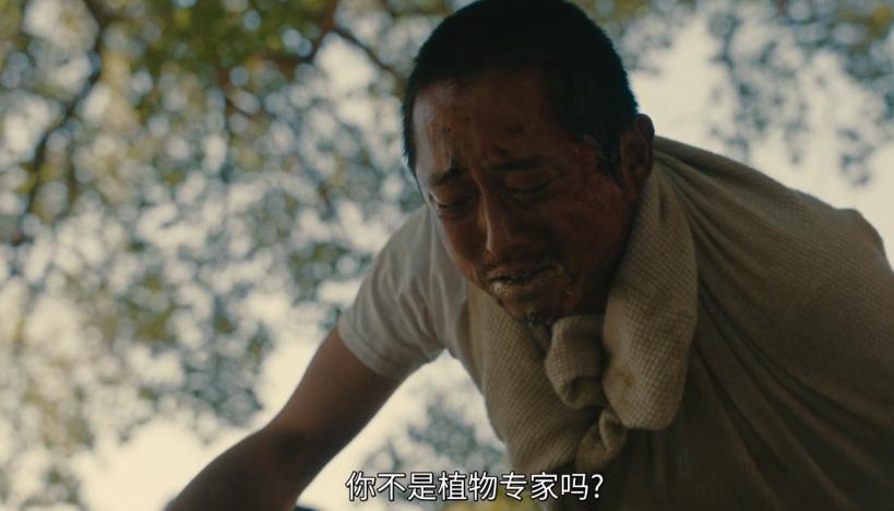 拍烂片能翻盘吗,拍烂的电视剧