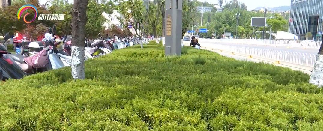 鏄嗘槑缁垮寲甯﹁糠杩鍥炬枃,鏄嗘槑缁垮寲甯﹀叏鏄糠杩