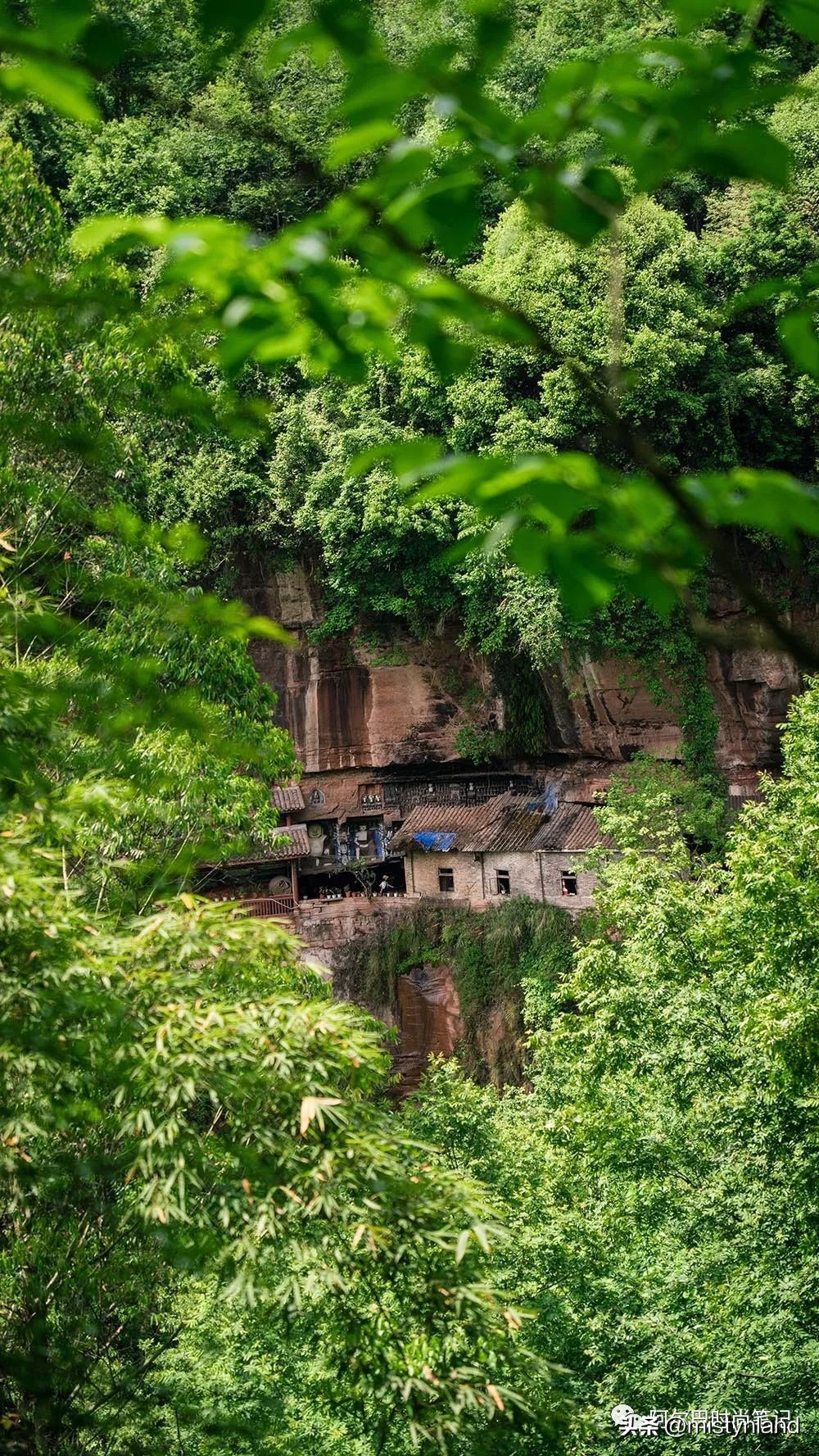 kolonsport可隆武汉,kolonsport可隆广州