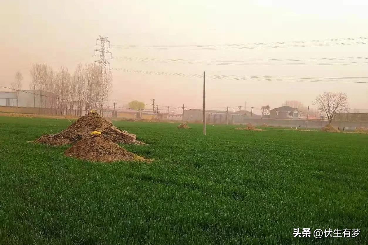 现在去世人埋葬都用挖沟机吗,挖掘机挖坟后能干活吗